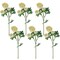 Northlight Real Touch™ Cream Ranunculus Artificial Floral Sprays, Set of 6 - 21"